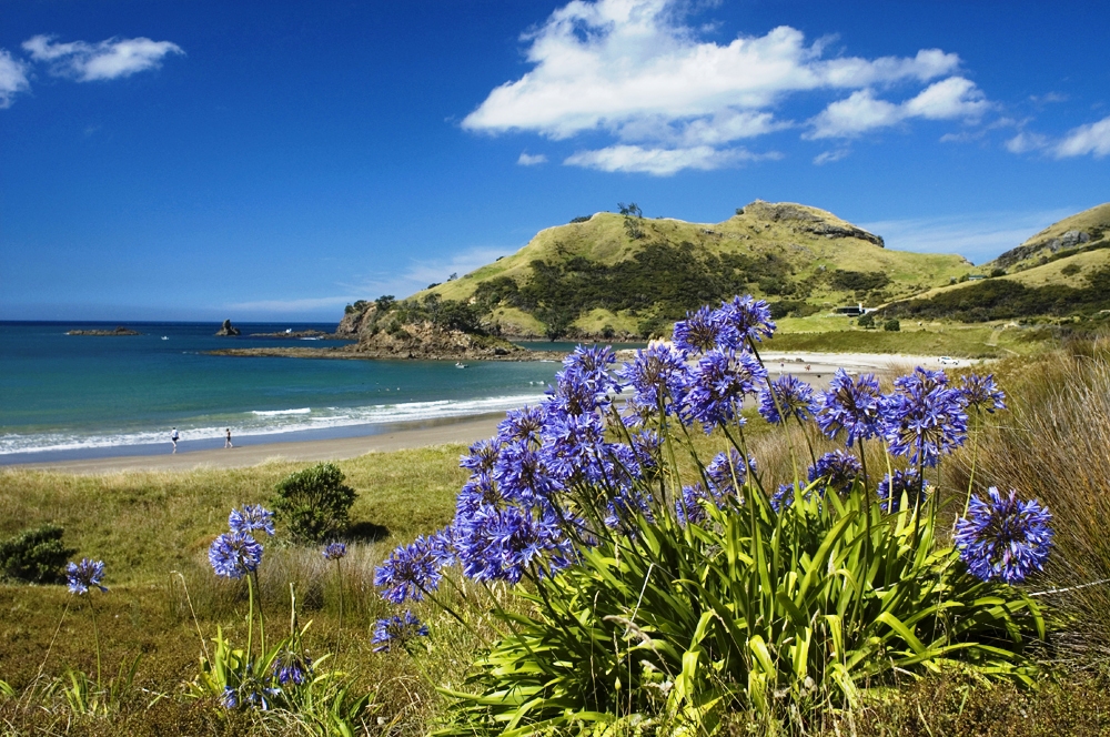 Great Barrier Island.jpg