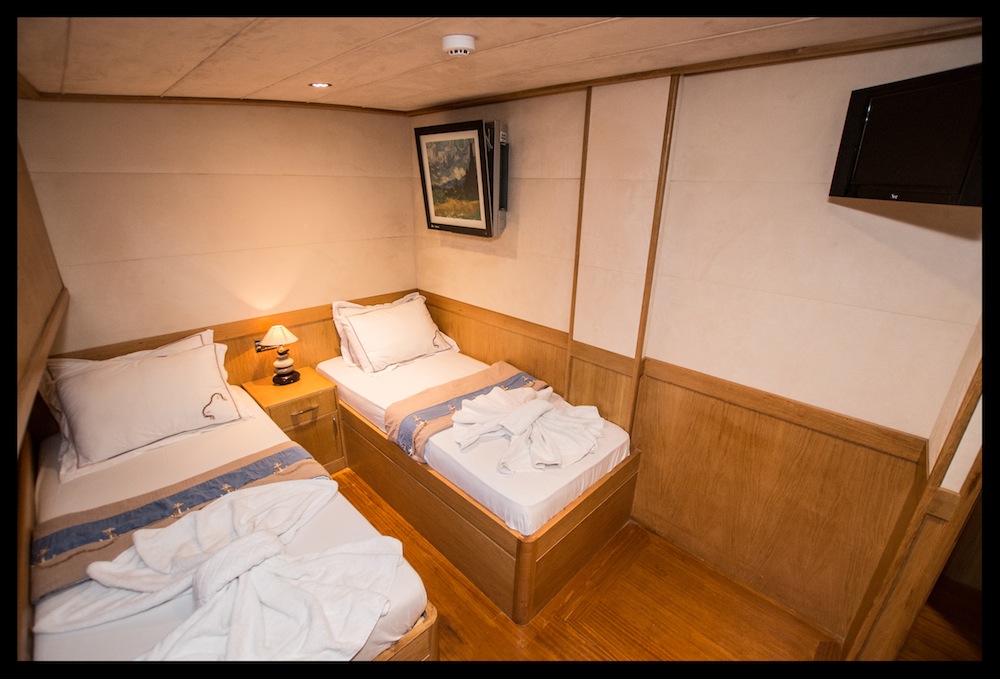 Gulet ALBATROS A - TWIN CABIN.jpg