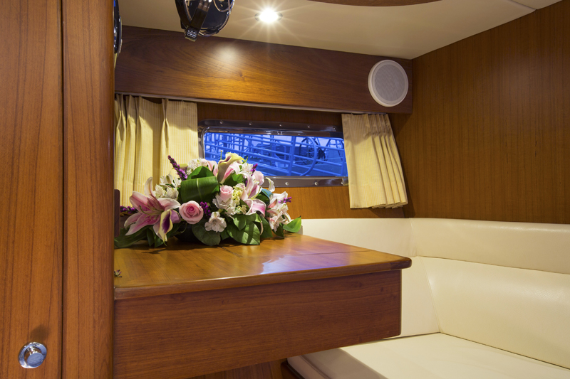 Hylas DESTINY Cabin detail.jpg