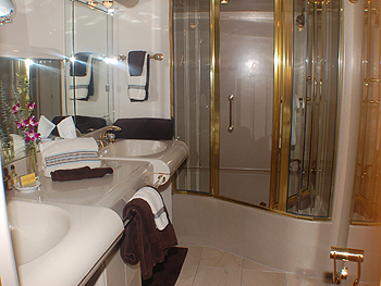 King Kalm - Master Bath with Spa Pool.jpg