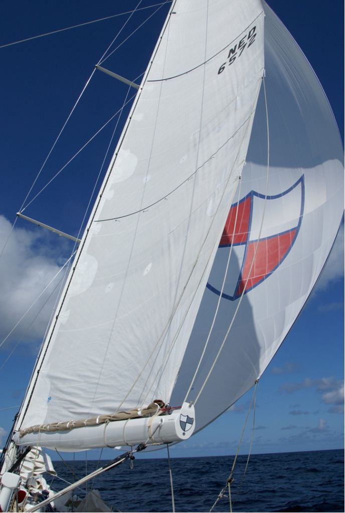 Kings Legend -  Spinnaker.jpg