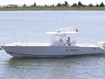 LADY SHARON GALE Towed Tender.jpg