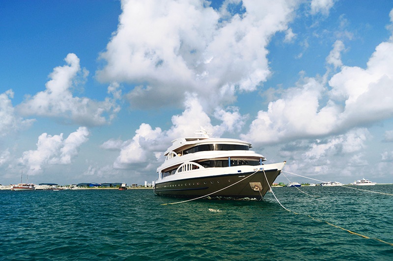 MV Orion1.jpg