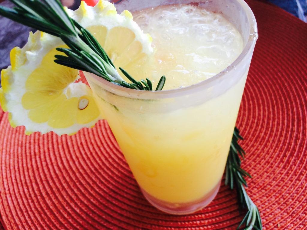 MY FIRST A FENCE - Refreshments.jpg