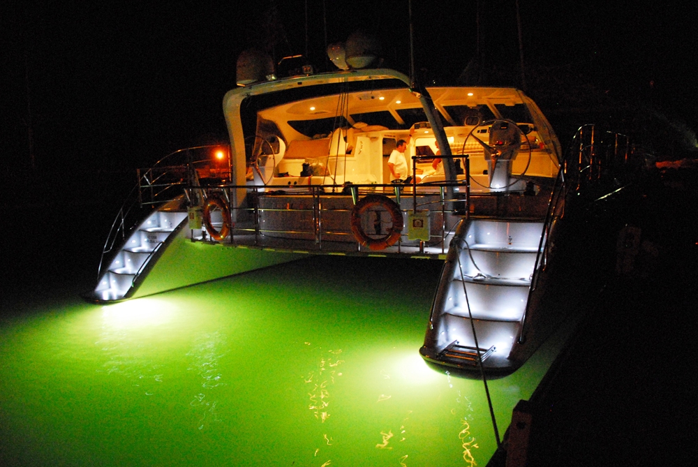 Night Lights.jpg