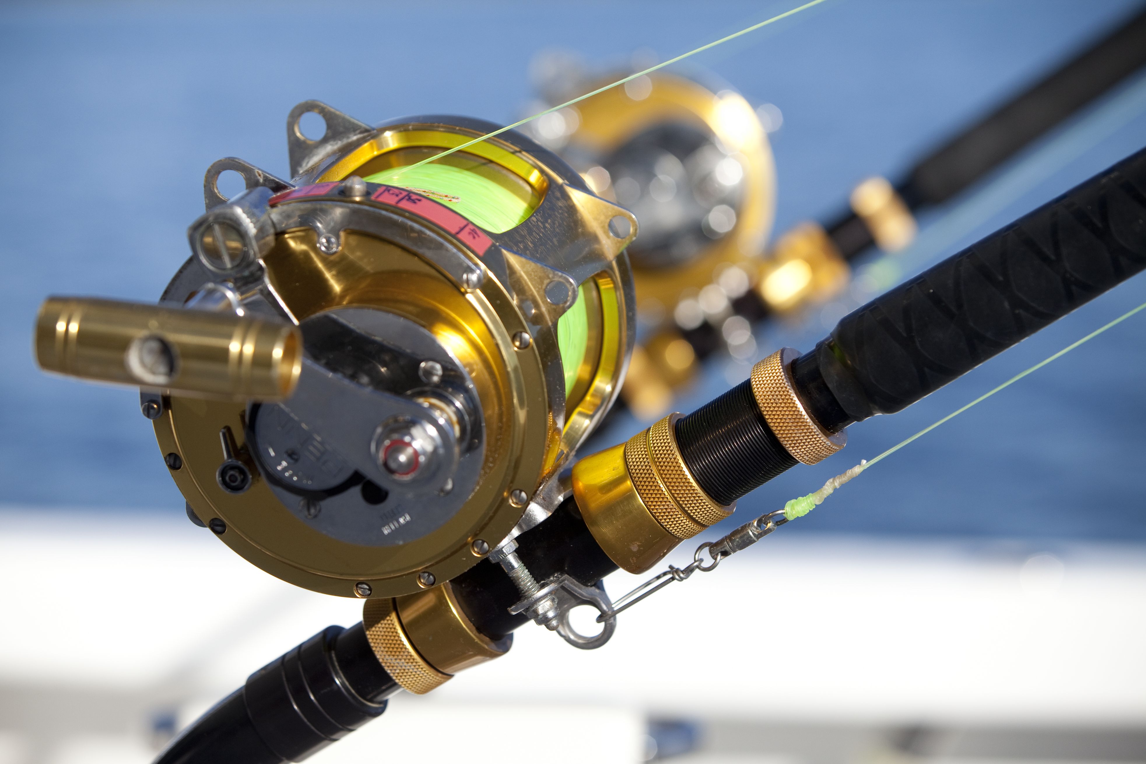 PACIFIC HQ -  Fishing Detail.jpg