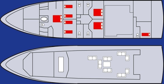 PARADIS -  Layout.jpg