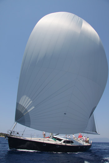 SATORI -  Spinnaker.jpg