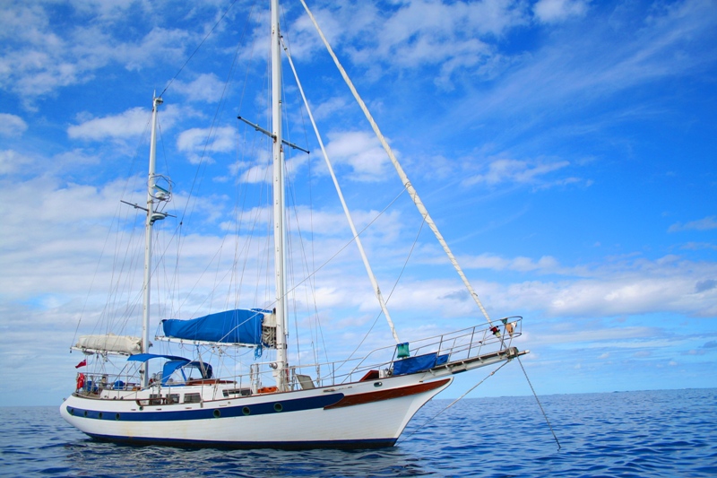 anchor