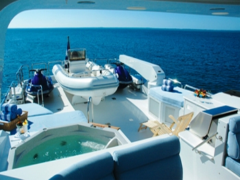 SHEAR FANTASEA -  Fly bridge.jpg