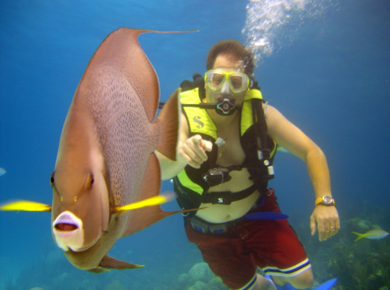 SOLSTICE -  Full Diving and Dive Instruction.jpg