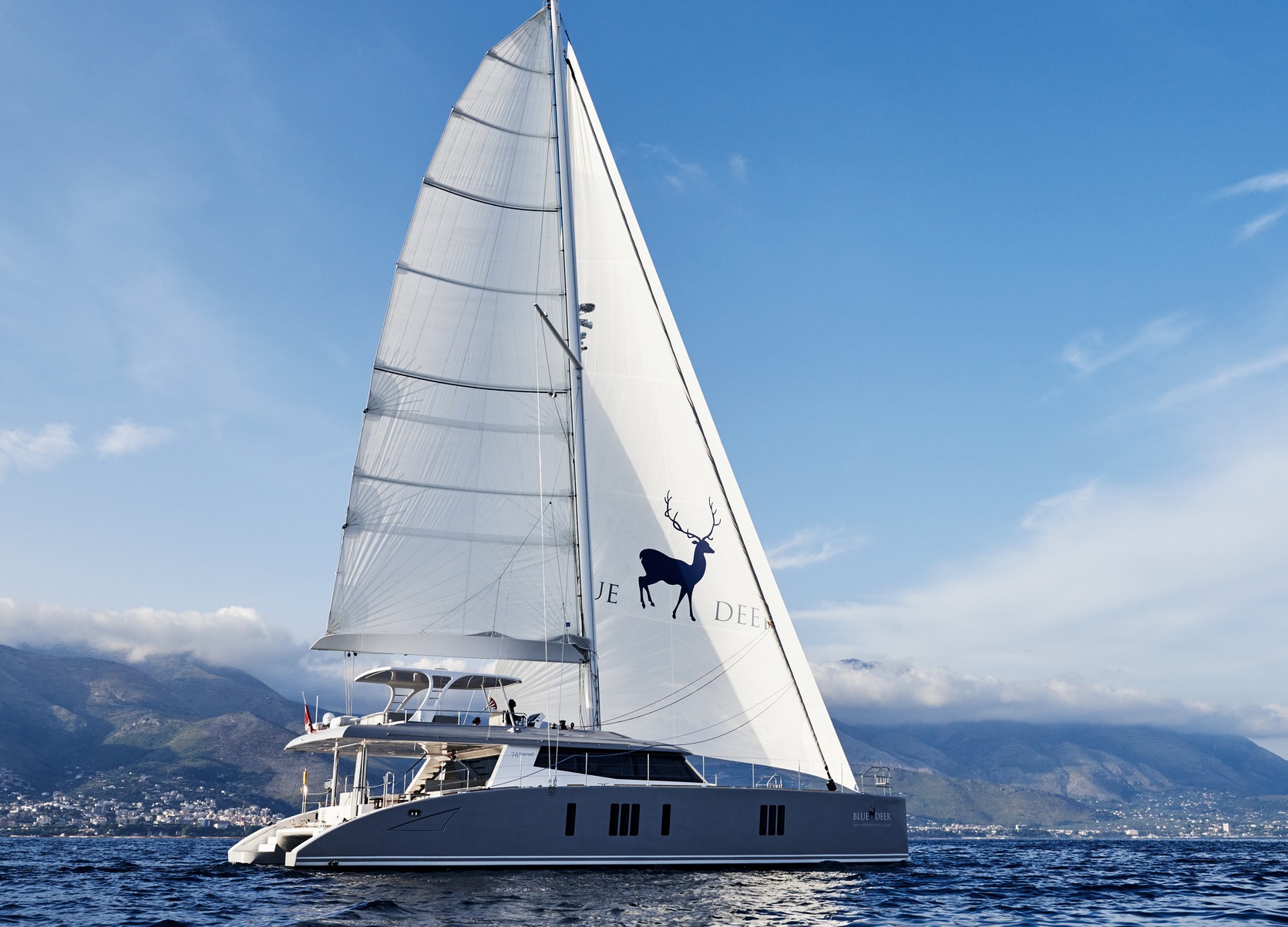 SY BLUE DEER - Main shot.jpg