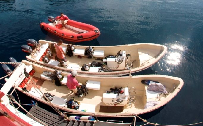 Seven Seas Tenders.jpg