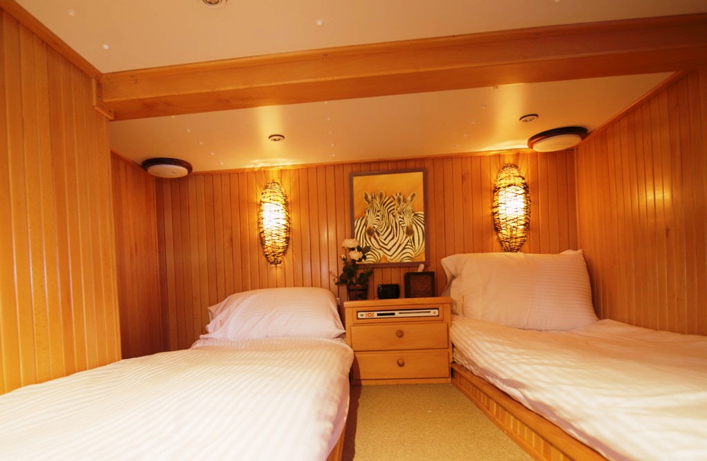 Shangani -  Zebra Suite as twin.jpg