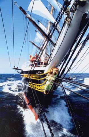 Damen Shipyards Group