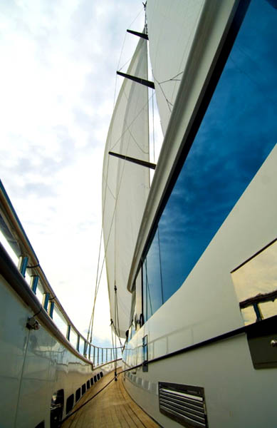 Tiger - Side Deck.jpg