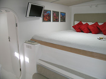 Wild Thing - Guest Cabin.jpg