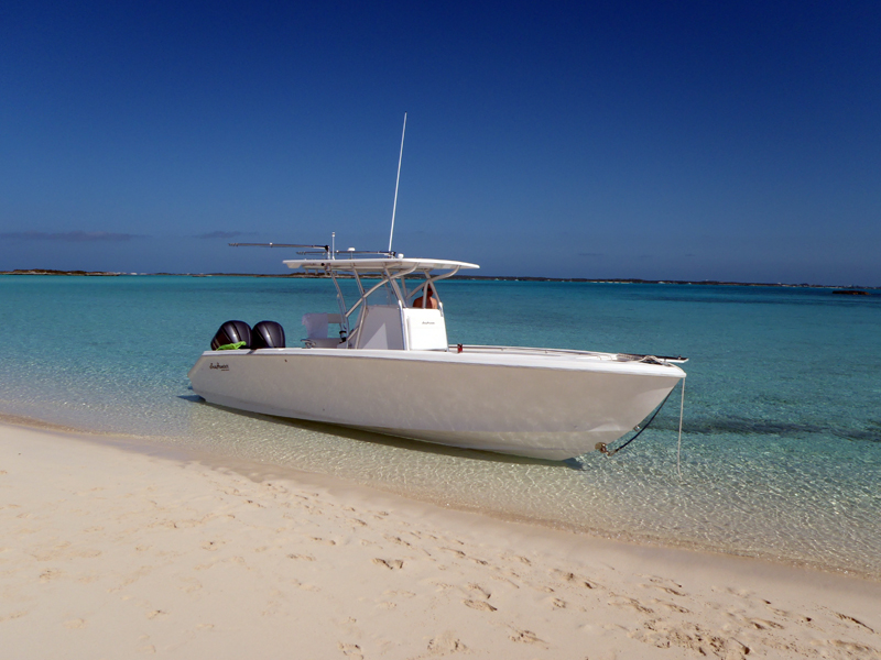 Yacht SEAS THE MOMENT - 29 ft SEA HUNTER 2011.jpg