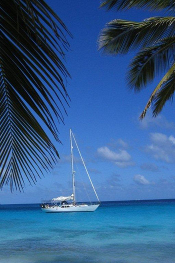 caribbean