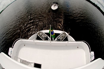 Zenith -  Stern.jpg