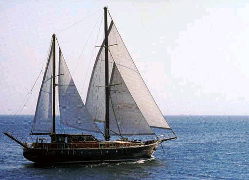 almyra 6.jpg