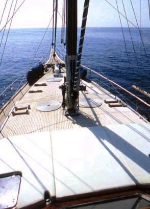 almyra 8.jpg