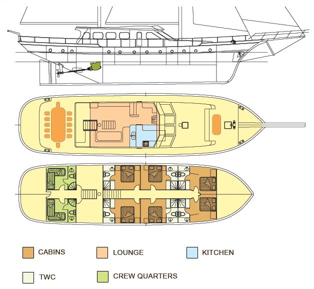 AURUM layout