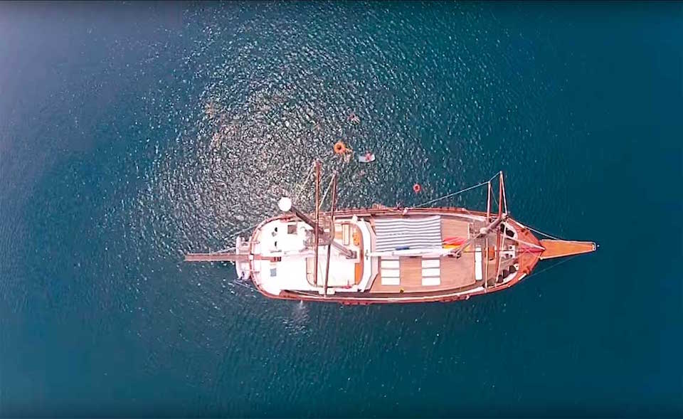 Aerial Shot