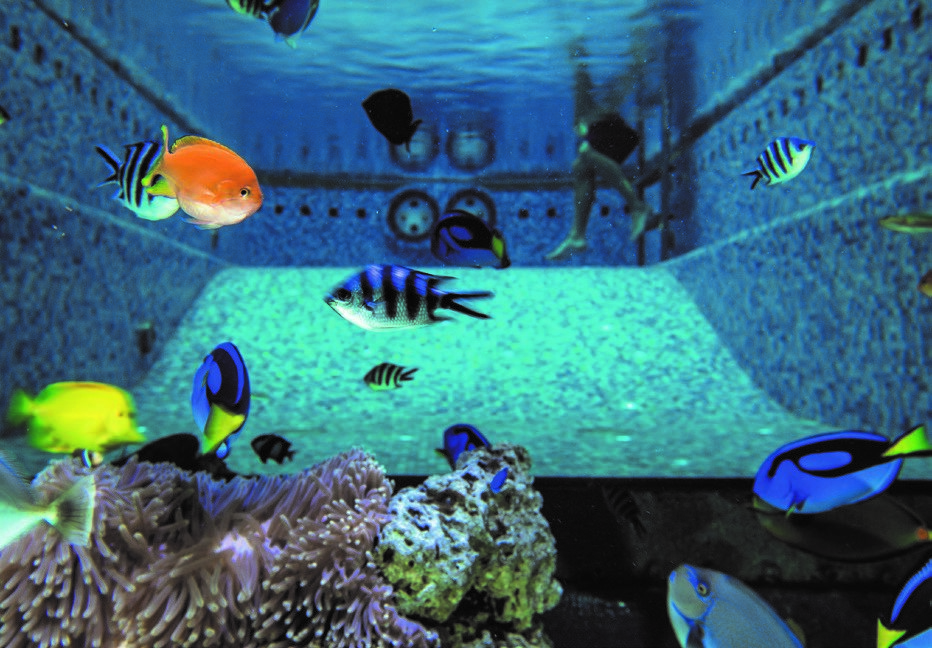 Aquarium
