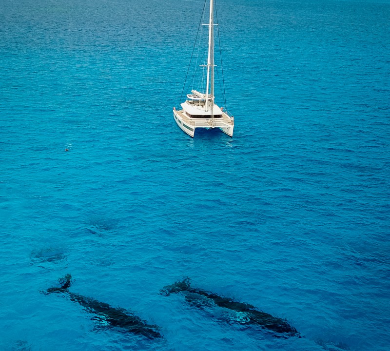 Beveridge Reef - Ocean View Catamaran