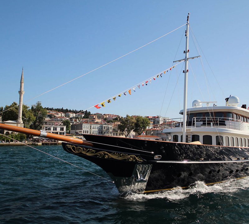 Bow Of TIMELESS