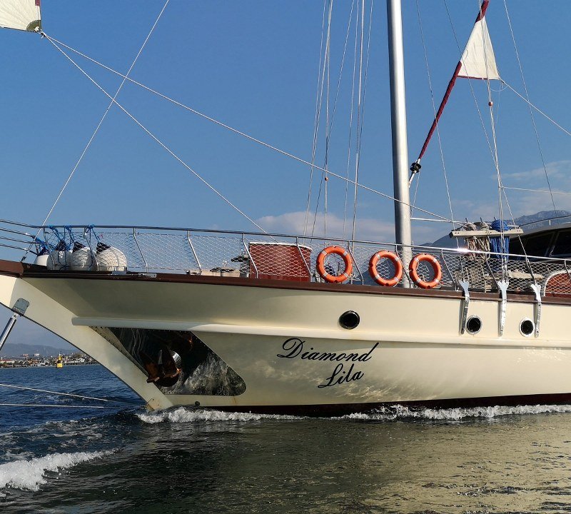 DIAMOND LILA - Bow shot