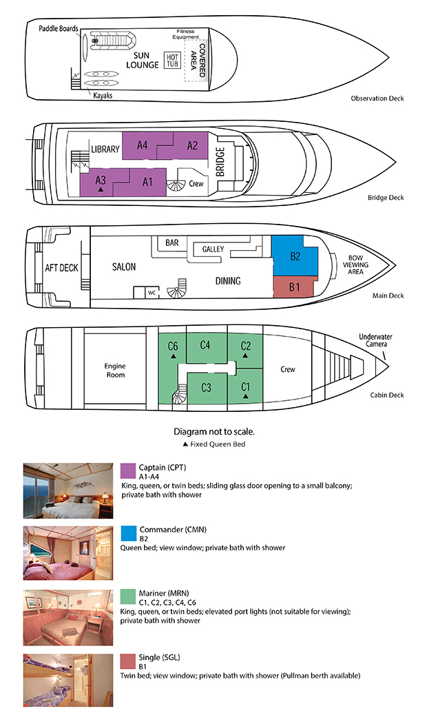 Deck Plan