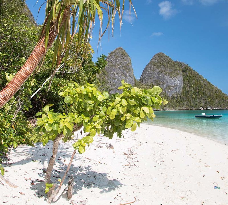 Destination - Raja Ampat