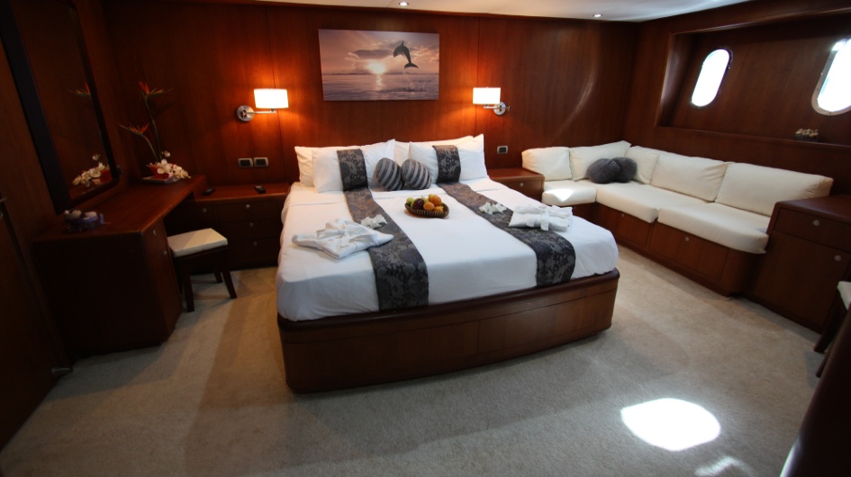 Dolphin Suite