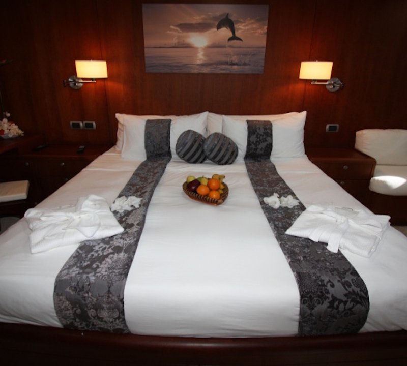 Dolphin Suite