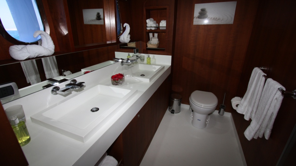 Dolphin Suite