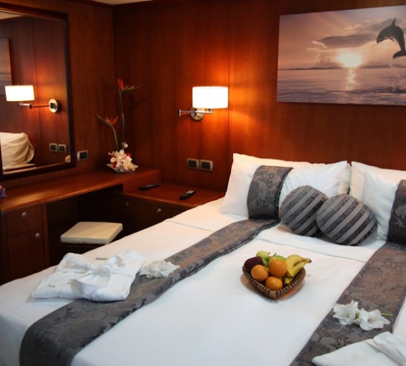 Dolphin Suite