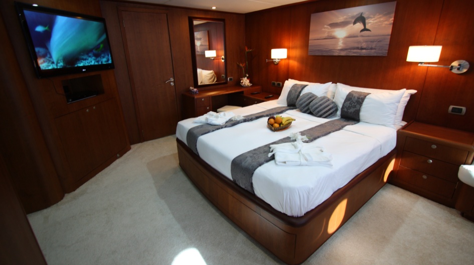 Dolphin Suite