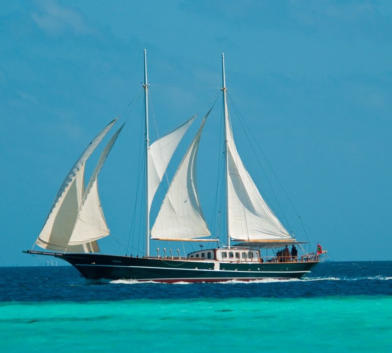 Dream Voyager Exterior