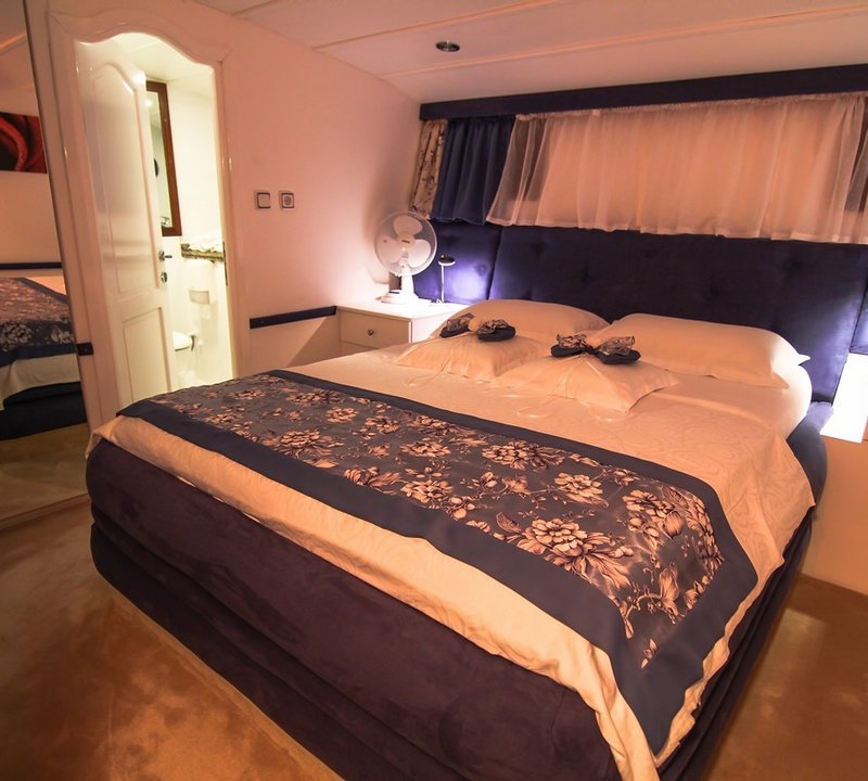 Guest Cabin