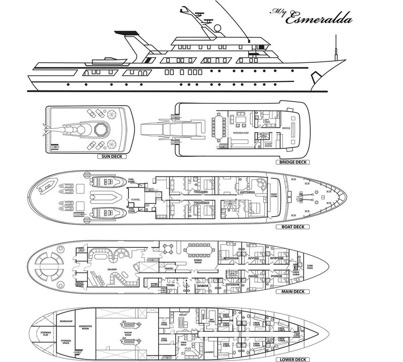 Layout