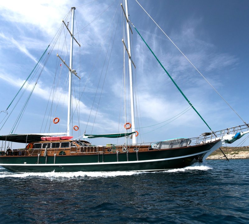 Profile view