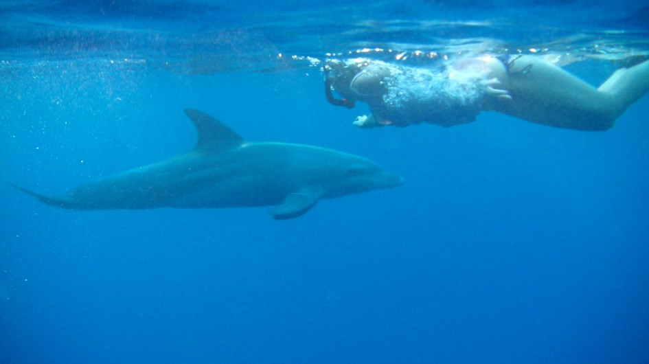 Snorkelling