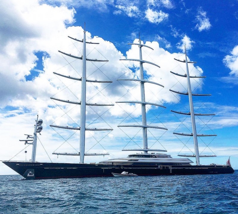 Maltese Falcon