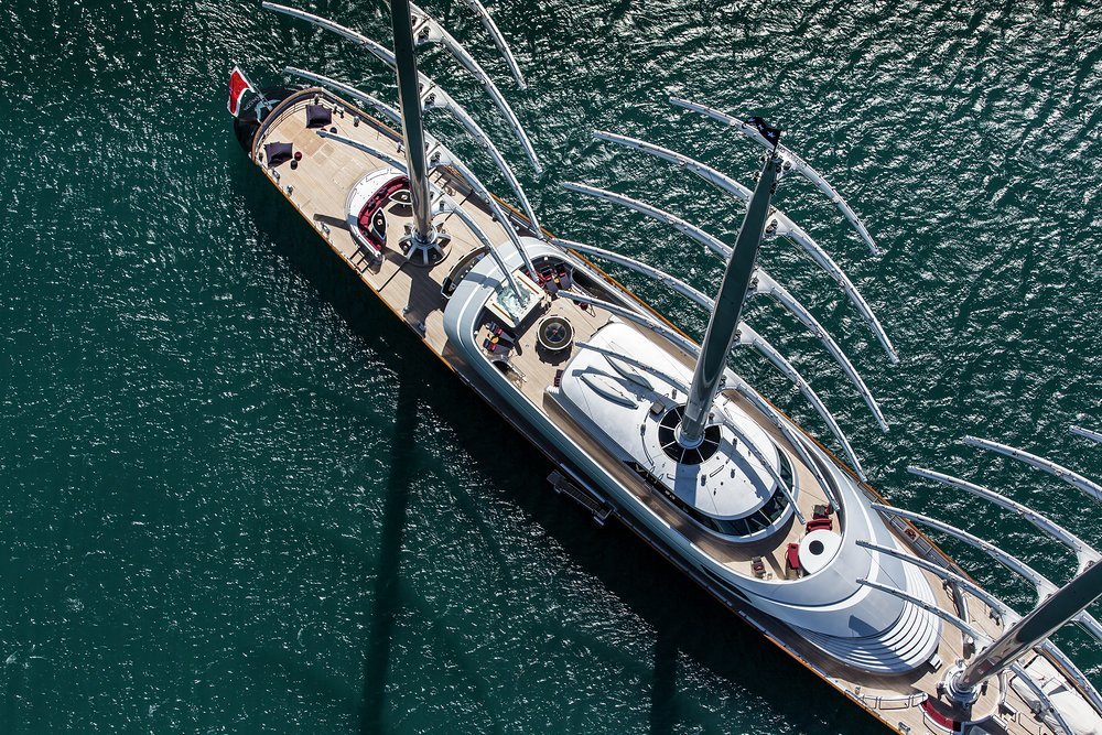 Maltese Falcon