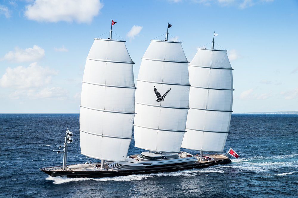 Maltese Falcon