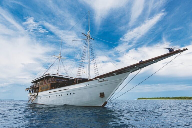 OCEAN PURE 1