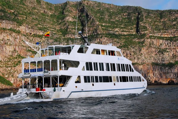 Queen of Galapagos -