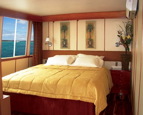 Queen of Galapagos - Cabin